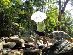 -呀诺达热带雨林