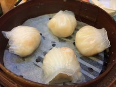 虾饺-添好运点心专门店(深水埗店)