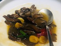 大蒜烧野菌-松云泽