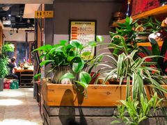 -玩煮炭火锅(延福街店)