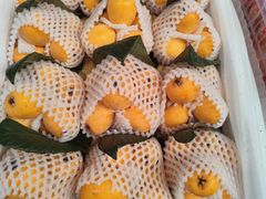 -新鸿港水果市场(三亚新鸿港国际商品交易中心店)