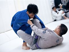 -菠萝格斗巴西柔术训练馆