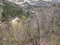 -崂山巨峰游览区