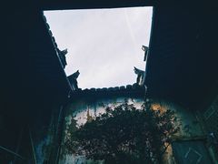 -杨家堂村