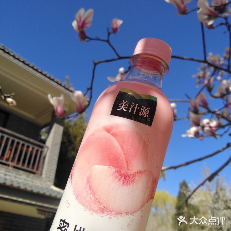 真离谱！好喝的蜜桃气泡饮，居然无人推荐