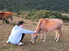 -大姆山草场