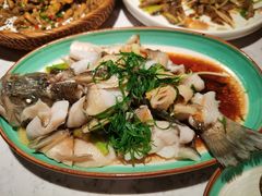 功夫鲈鱼-大榕树下顺德菜(融创茂店)