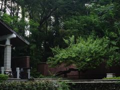 -深圳国际园林花卉博览园