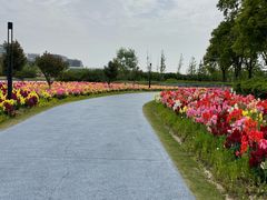 -春花秋色城市公园