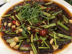 -铁山坪森林公园