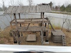 -太原动物园