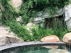 -威海天沐温泉度假区