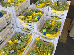 -西郊国际农产品交易中心