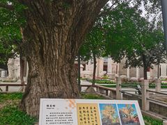 -北京石刻艺术博物馆(五塔寺)