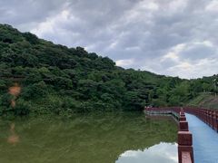 -黄埔油麻山森林公园