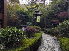 -明月山天沐温泉度假村