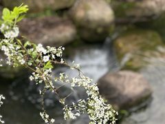 -中国茶叶博物馆(双峰馆区)