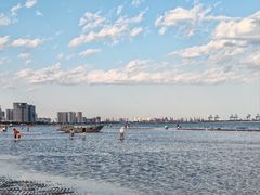 -金梦海湾浴场