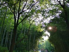 -苏州河梦清园环保主题公园