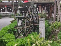 -青城甲(青城山店)