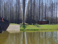-黄海国家森林公园
