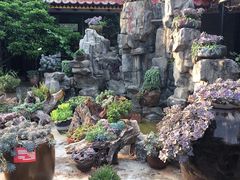 -山菌美食苑(振兴路店)