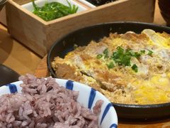 -胜博殿日式炸猪排(悠唐店)