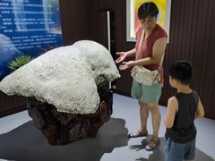 -贝壳王国博物馆