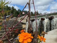 -五营红松林海景区