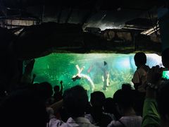-嘉兴海底世界