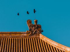 -故宫博物院(故宫)