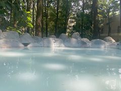 -金方森林温泉