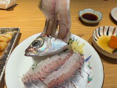 -桂马·日本料理·海胆·海鲜饭·酒场(民主广场店)