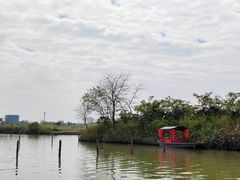 -江门古劳水乡旅游区