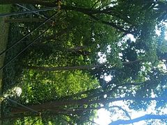 -燕晗山郊野公园