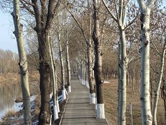 -东郊湿地公园