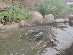 -河源御临门度假村温泉