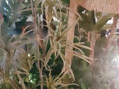 -鲁城往事(游客中心店)
