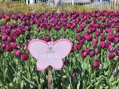 -玄武湖景区-情侣园游乐场