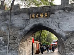 -大槐树寻根祭祖园