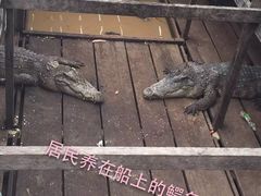 -洞里萨湖