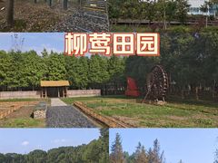 -柳鹭田园区