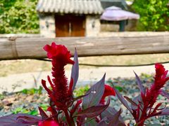-北京山里寒舍度假酒店