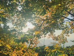 -广州市石门国家森林公园
