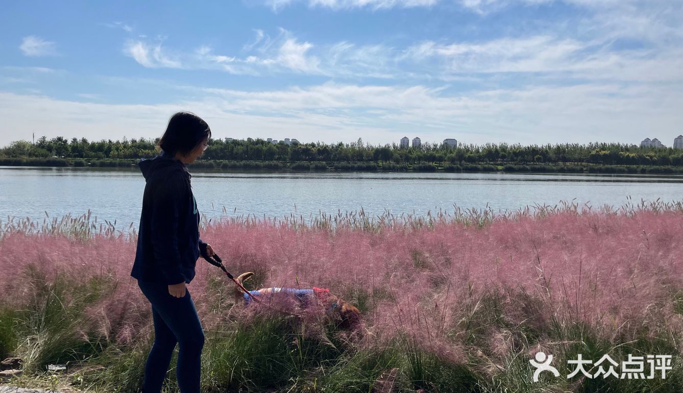 艳阳普照的日子真让人心情舒畅🌞