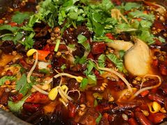 -靓靓蒸虾·头牌蒸虾(南山桂庙店)