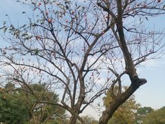 -木守西溪溪隐餐厅