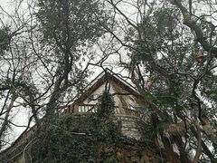 -上海佘山国家森林公园西佘山园