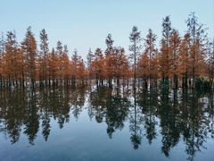 -白鹭湾湿地公园