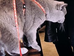 -二里咖啡(上堡公寓店)